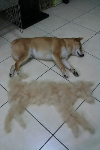 Source: https://www.pinterest.com/pin/254312710178158896/