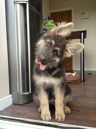 Source: https://www.pinterest.com/pin/566046246892499645/