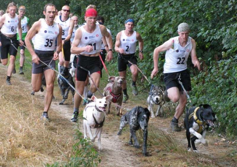 Running off-road while being accompanied by the dog