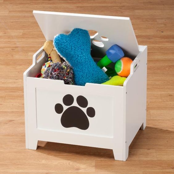 Dogs need structure just like humans do