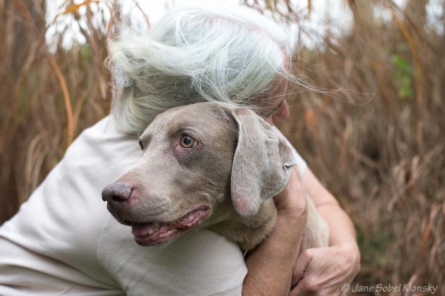 Dogs don't care about our age