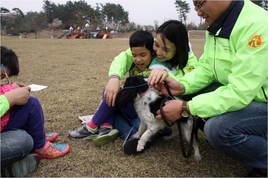 You can use your dog as a therapy dog