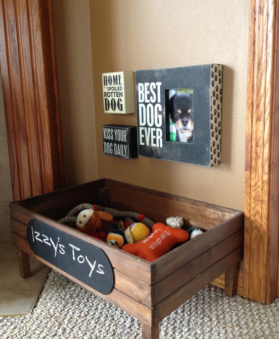 Dogs toys and accessories
