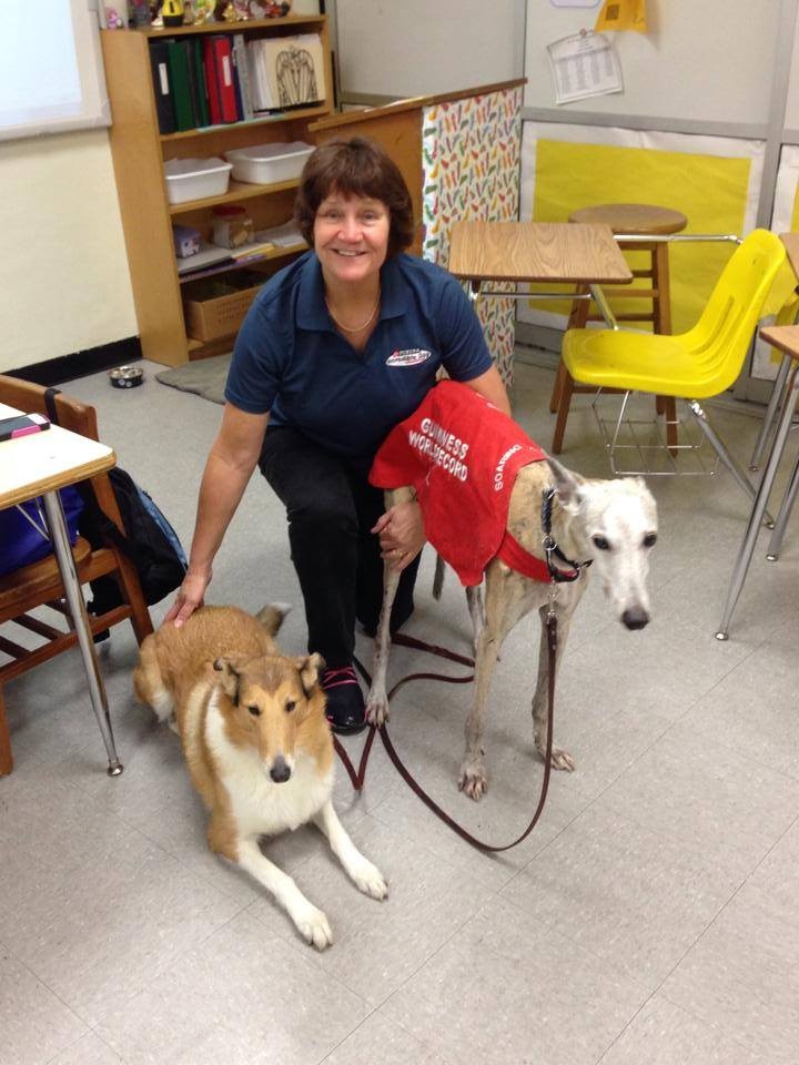 Cindy greyhound on career day