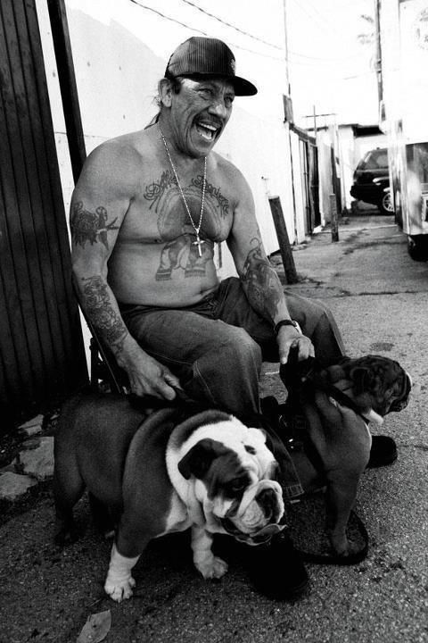 Well know actor Danny Trejo and his english bulldogs
