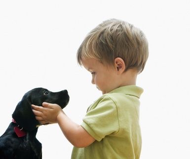 A dog and a boy introducing each other