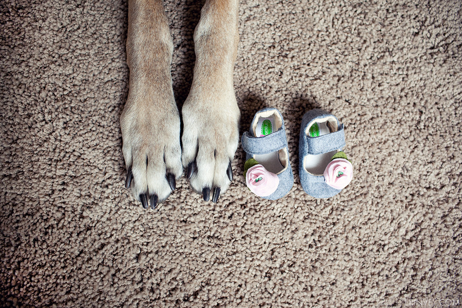 Tips on preparing your dog for the new baby