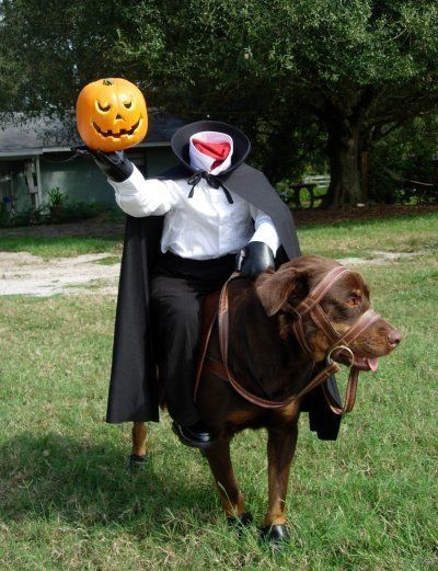 Funny pet Halloween Costume