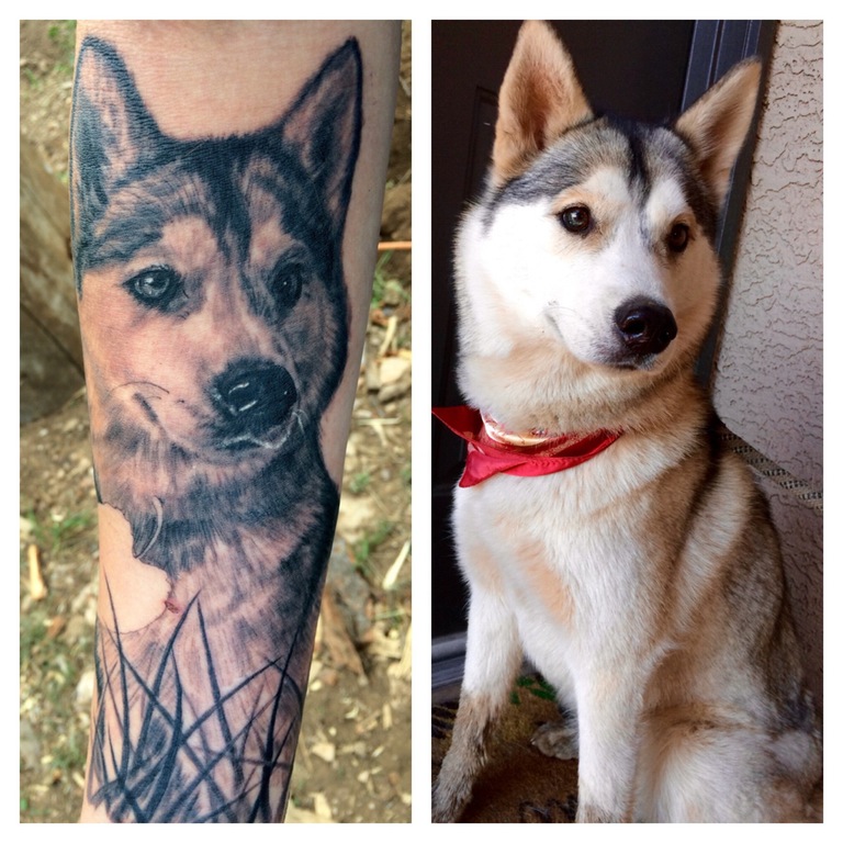 Husky portrait tattoo