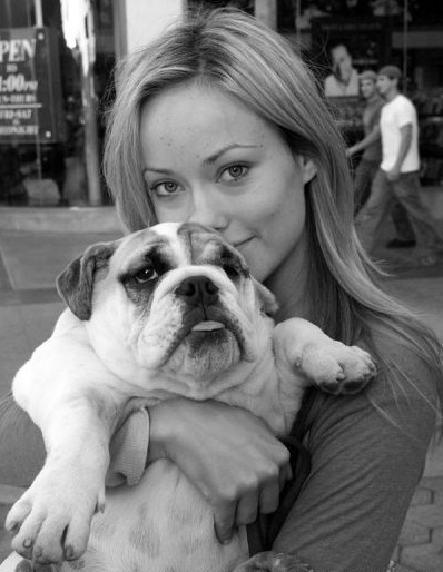 Olivia Wilde the amazing actress spend a lot of time with her beautiful english bulldog Lola