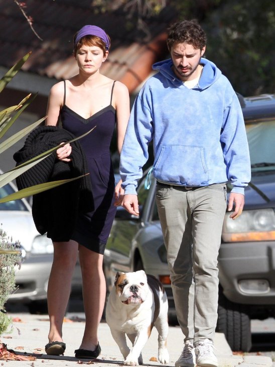 Cutest hollywood couple with their english bulldog