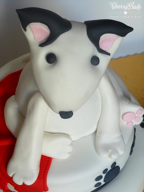 Bull Terrier Cake for your lovely pet