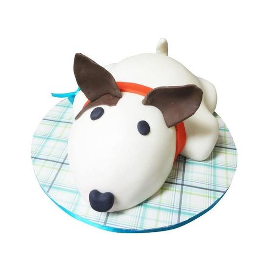 Birthday cake idea for your pet