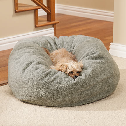 Invest in a very good bed for your dog, so he won't be cold during winter
