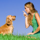 Commands to teach your dog