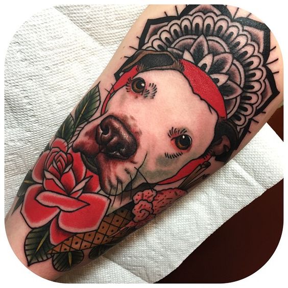 pitbull in Old School Traditional Tattoos  Search in 13M Tattoos Now   Tattoodo