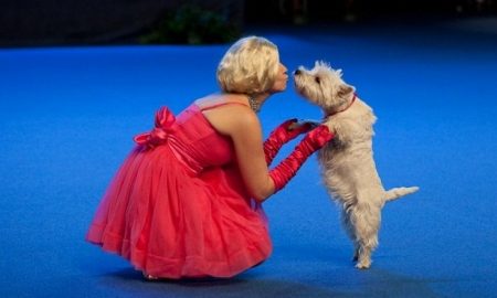 Doing musicals and dancing with dog