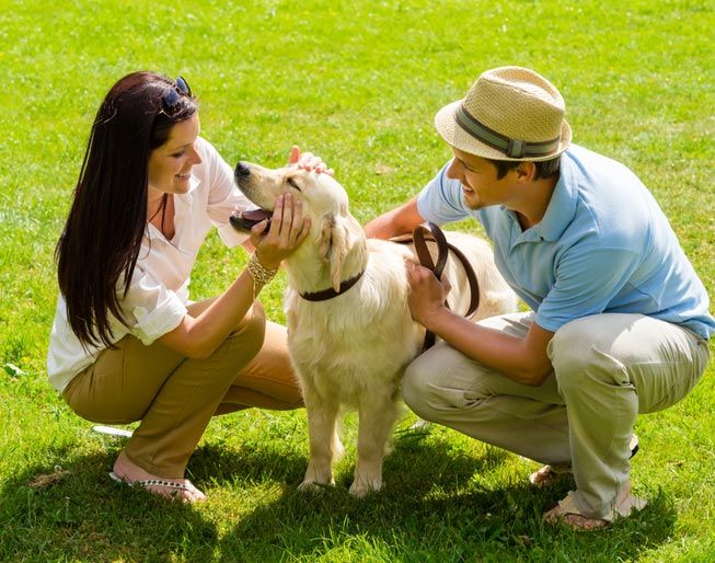 Dogs Make Us more Social