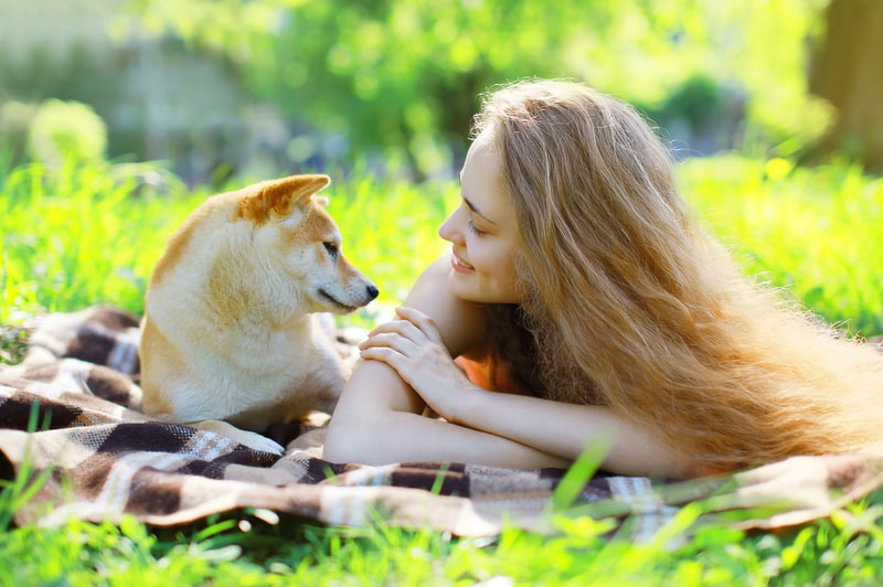 Secrets that dogs make us happy