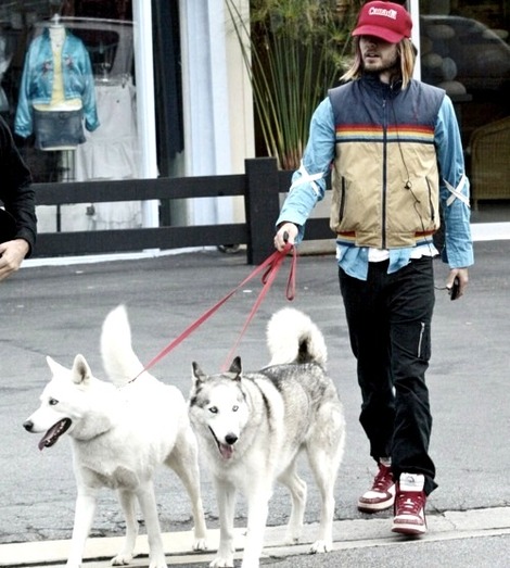 Jared leto with his husky SKy
