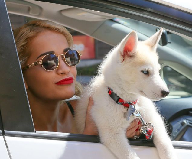 Singer and actress Rita Ora with her Husky Bowie