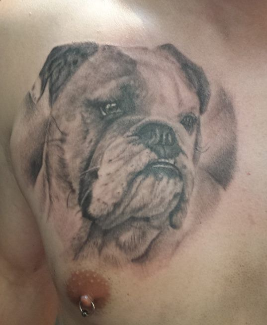 Bulldog tattoo idea