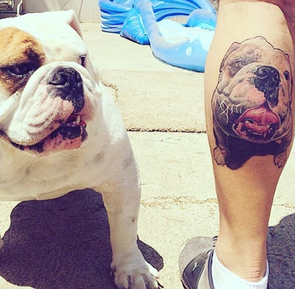 Amazing artwork, english bulldog tattoo on leg