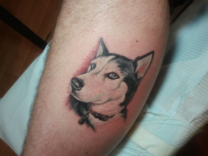 15 Best Husky Tattoo Designs Inside Dogs World