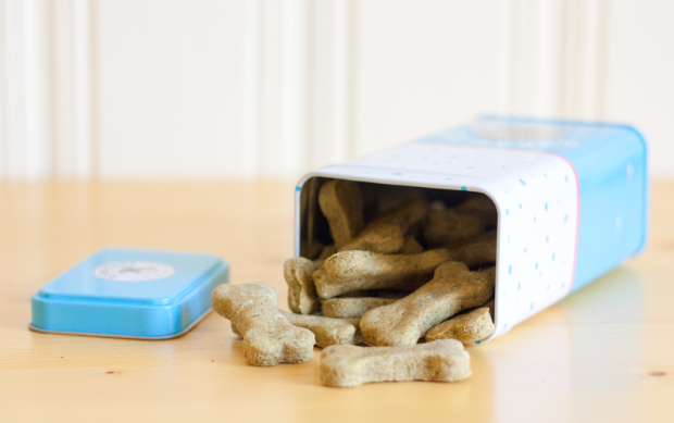 DIY: Easy & Healthy Dog Treats Recipes