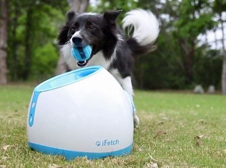Tennis ball launcher is a great gift idea for your dog