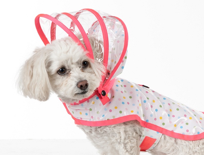 Dogs raincoat are a great present for your dog