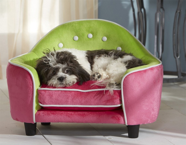Pet sofa is e great luxury gift for your dog