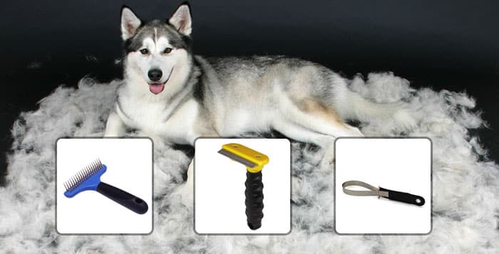 dog brush for husky