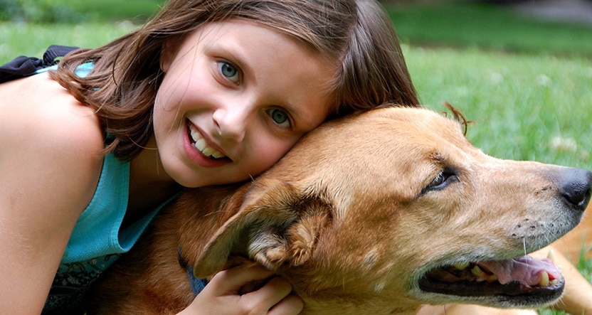 what you should know as a dog owner to keep your family safe