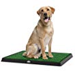 Portable mat/bed for Dog Training